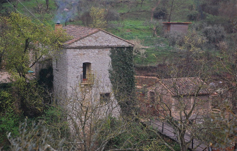 paw-in-tau-foundation-il-sorriso-di-san-francesco